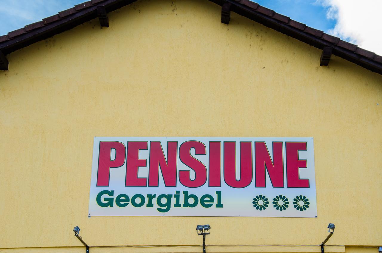 Pensiunea Georgibel Deva Exteriér fotografie